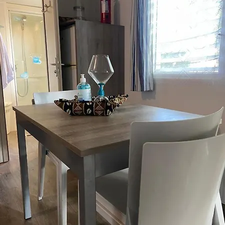 Mobilhome 516